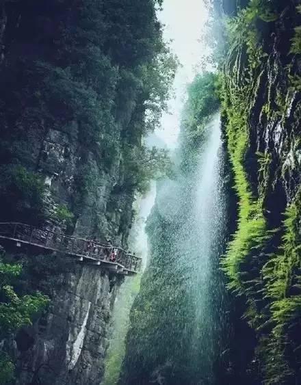 鲨鱼比海豚体型大，为什么不吃海豚？游戏画面